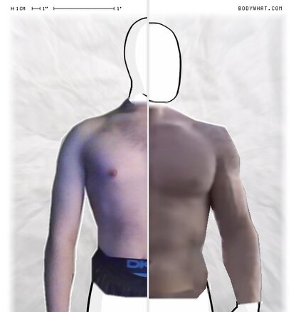 Torso Comparison