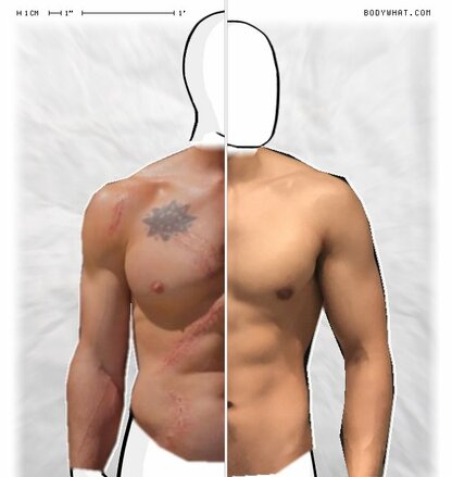 Torso Comparison