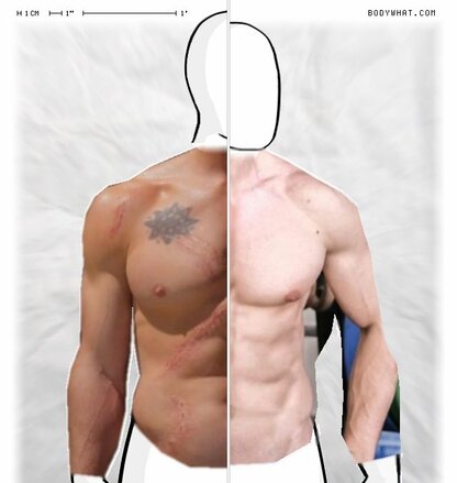 Torso Comparison