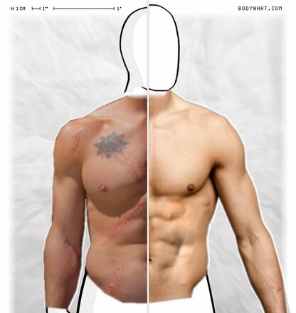 Torso Comparison