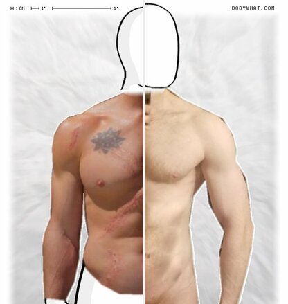 Torso Comparison