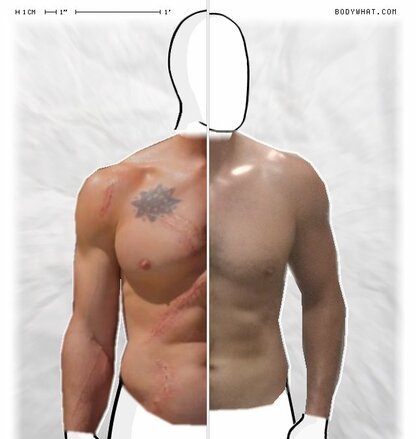 Torso Comparison