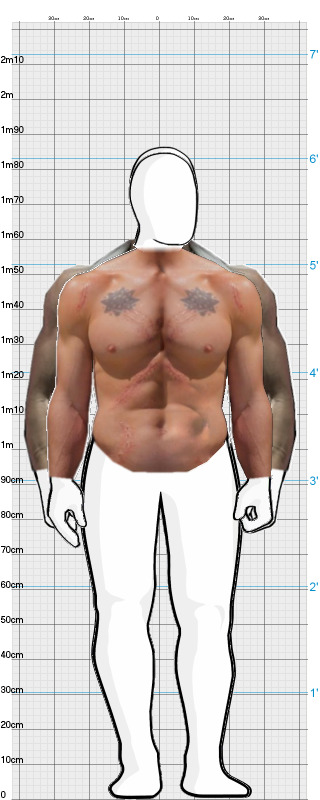 Full Size Comparison