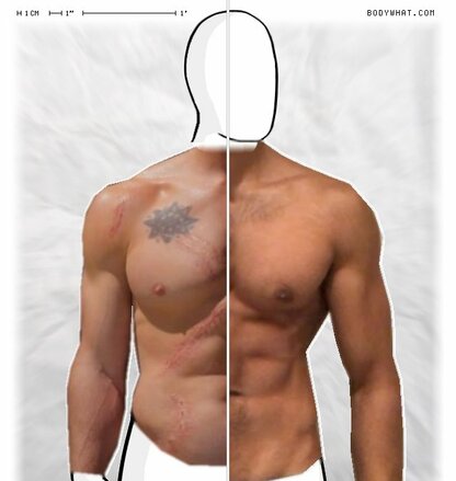 Torso Comparison