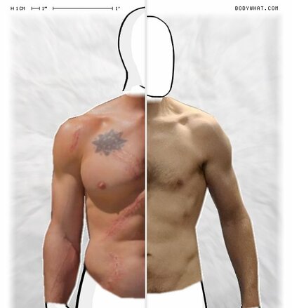 Torso Comparison