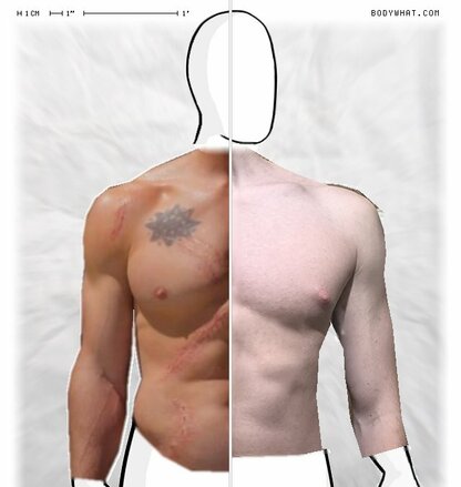 Torso Comparison