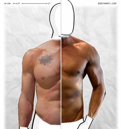 Torso Comparison