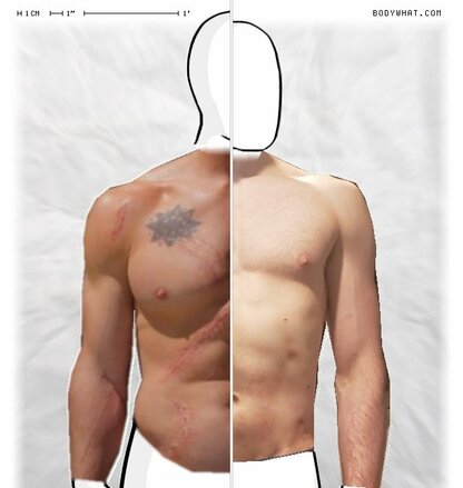 Torso Comparison