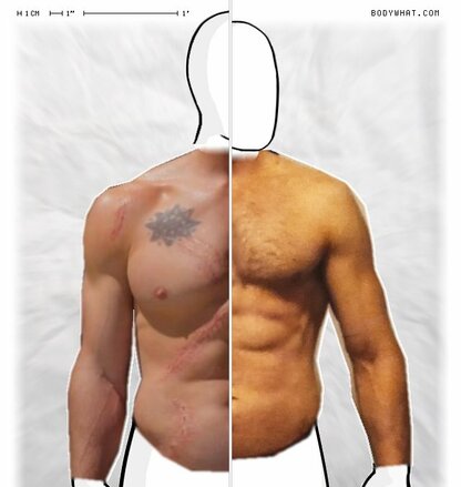 Torso Comparison