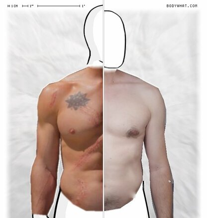 Torso Comparison