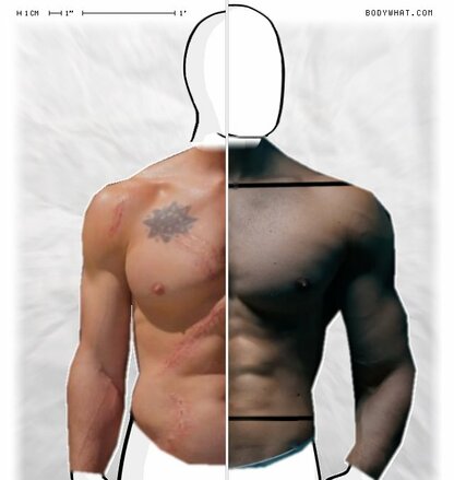 Torso Comparison