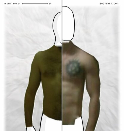 Torso Comparison