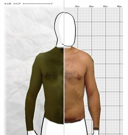 Torso Comparison