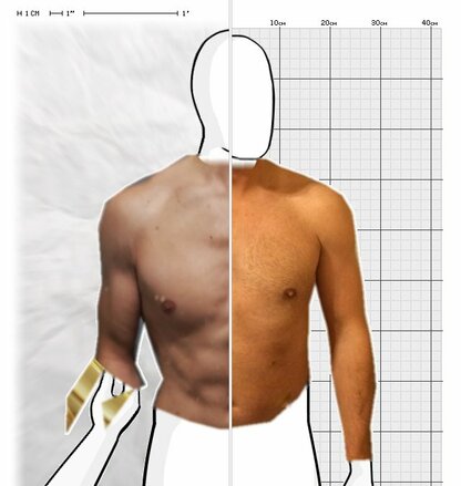 Torso Comparison