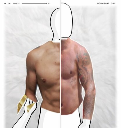 Torso Comparison