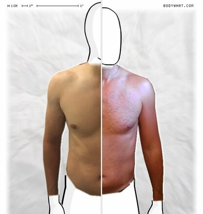 Torso Comparison