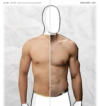 Torso Comparison