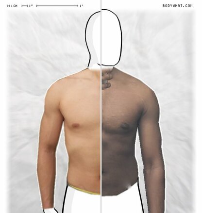 Torso Comparison