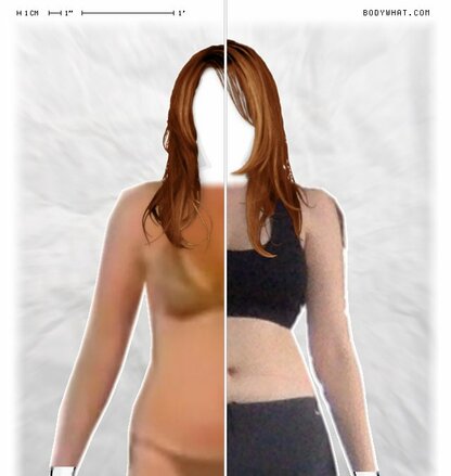 Torso Comparison