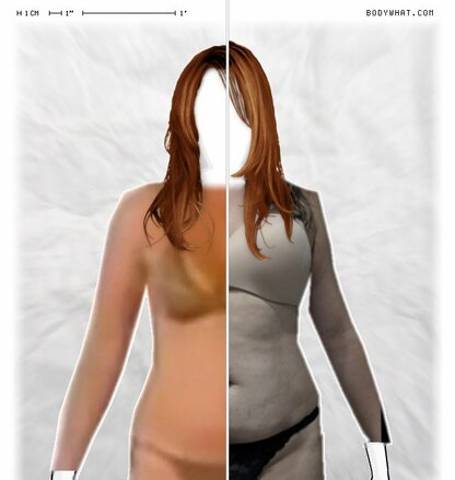 Torso Comparison