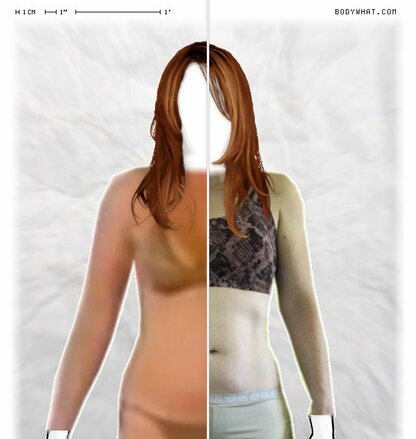 Torso Comparison