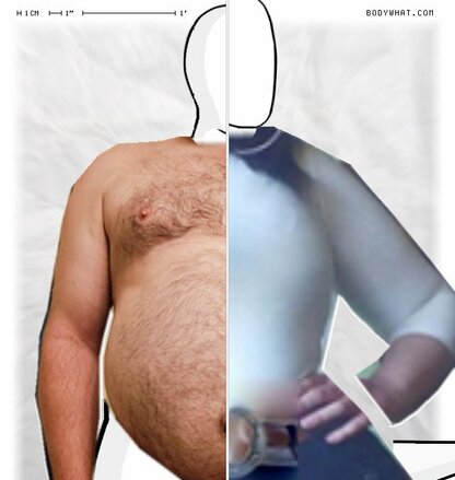 Torso Comparison