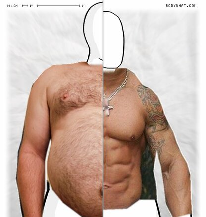 Torso Comparison