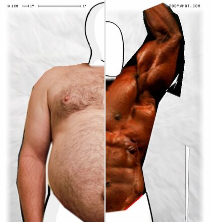 Torso Comparison