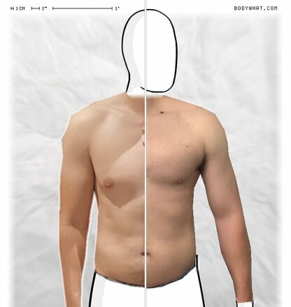 Torso Comparison