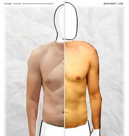 Torso Comparison