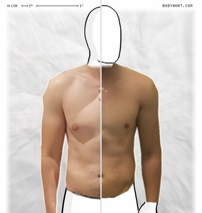 Torso Comparison