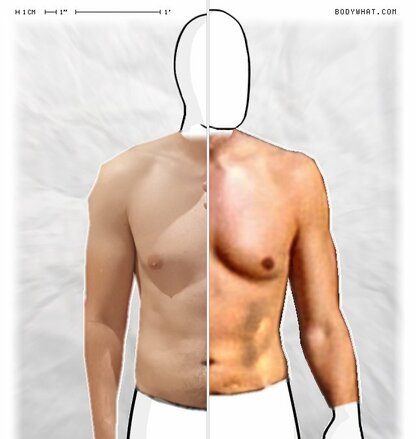 Torso Comparison