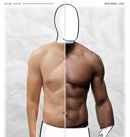 Torso Comparison