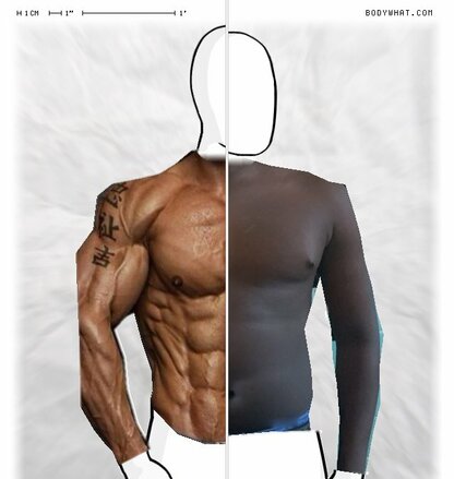 Torso Comparison