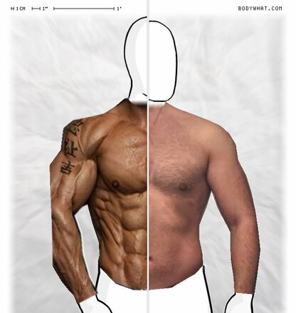Torso Comparison