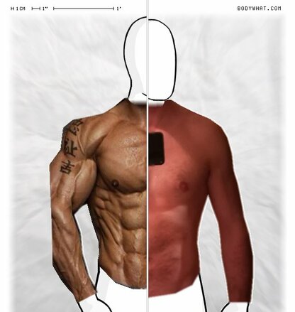 Torso Comparison