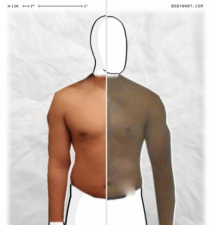 Torso Comparison