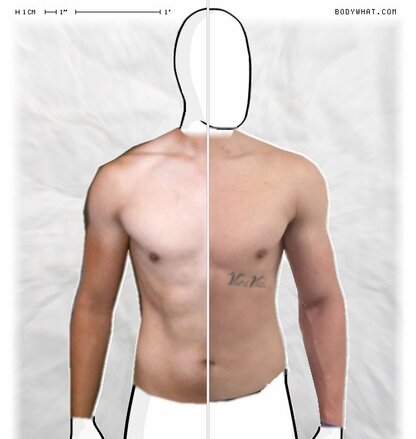 Torso Comparison