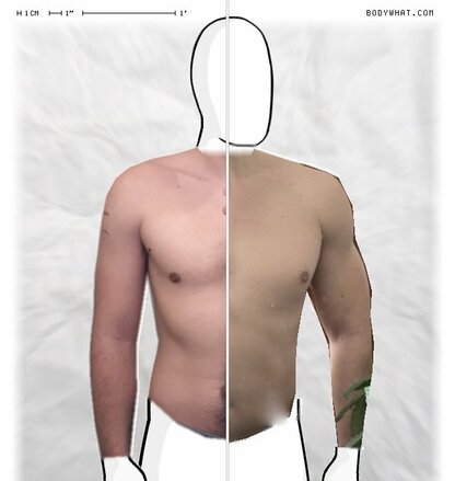 Torso Comparison
