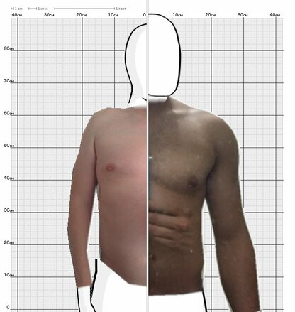 Torso Comparison