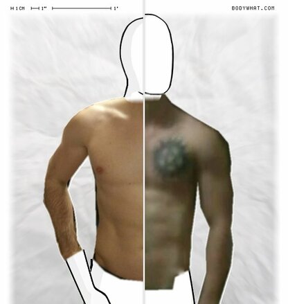 Torso Comparison