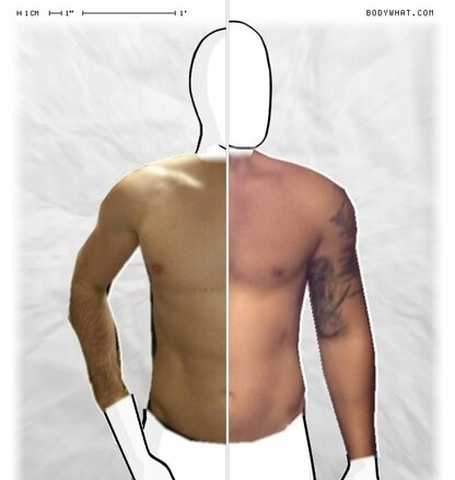 Torso Comparison