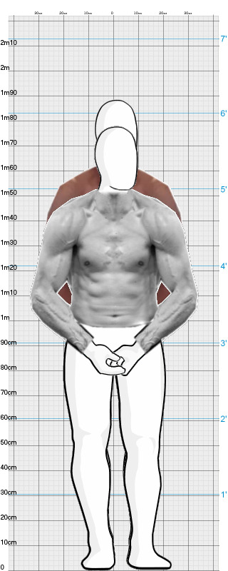 Full Size Comparison