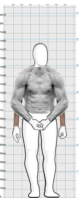 Full Size Comparison