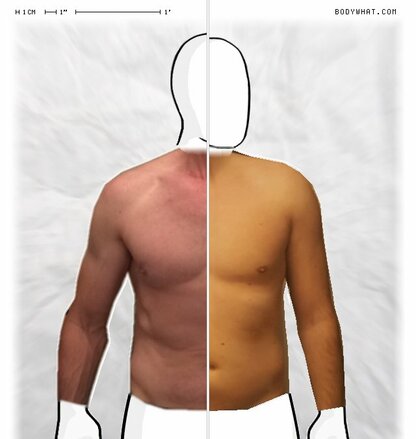 Torso Comparison
