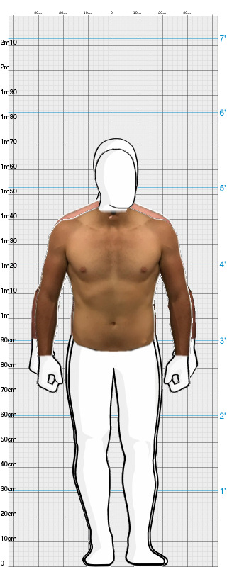 Full Size Comparison