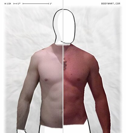 Torso Comparison