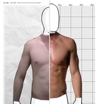 Torso Comparison