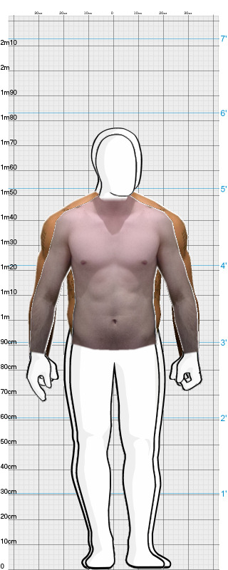 Full Size Comparison