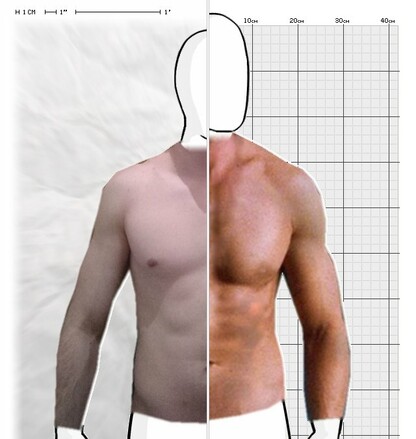 Torso Comparison